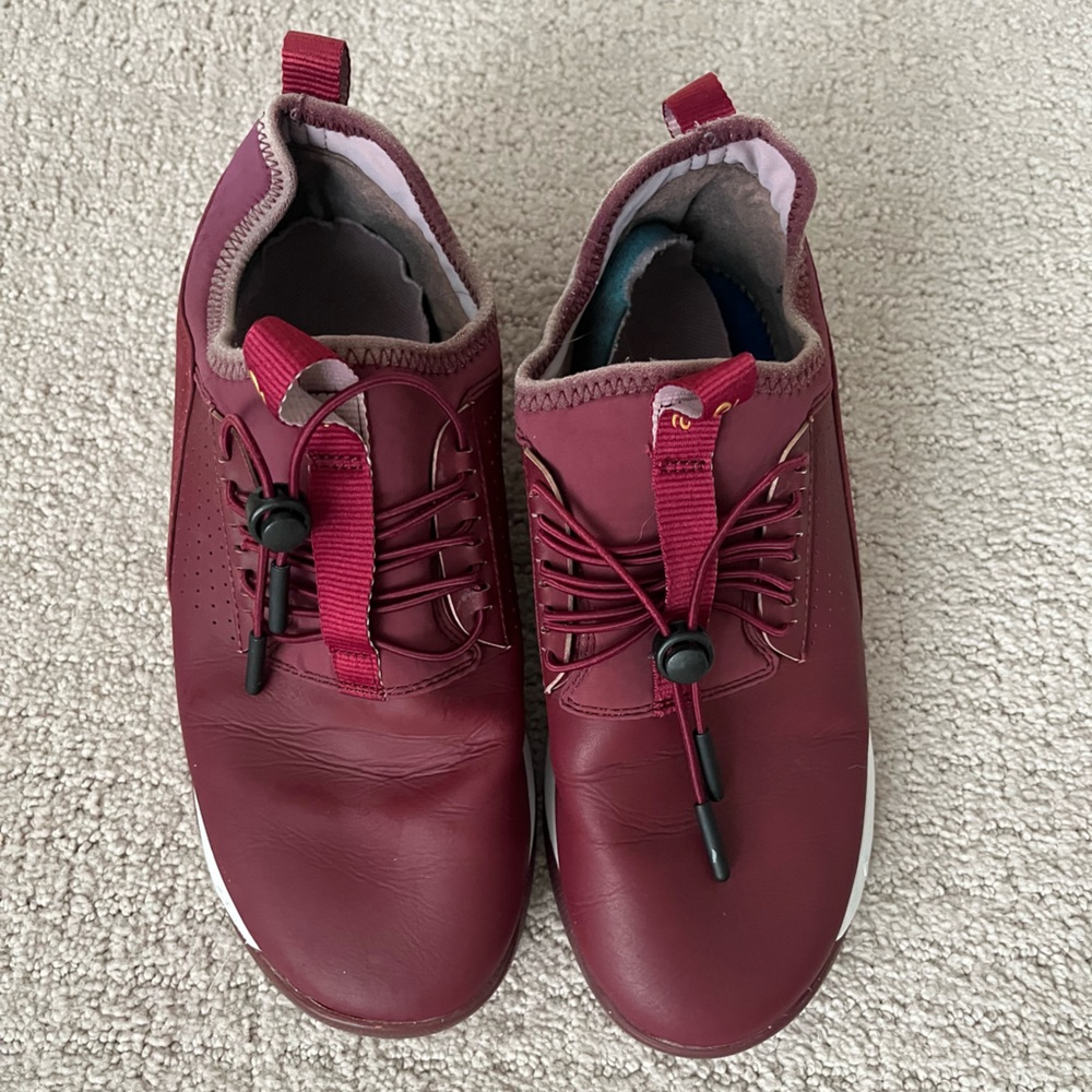 Clove sneakers